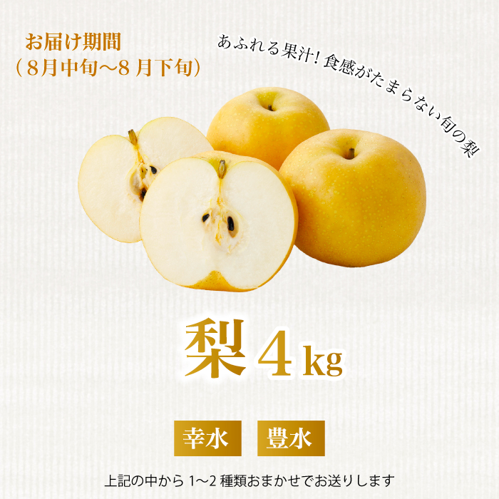 《2026年度先行受付》【フルーツ定期便全5回】 大容量 さくらんぼ 梨 ぶどう りんご いちご 2026年6月～発送 豪華フルーツ 詰め合わせ 採れたて 新鮮 産地直送 果物 広島県 三原市 059014