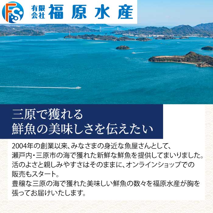 瀬戸内産 天然鯛 約2.5kg（500g×5匹/鱗・内臓処理）・鮮魚2種 詰め合わせ 地魚 鯛 天然鯛 真鯛 天然 鮮魚 下処理済 瀬戸内 広島県 三原市 154007
