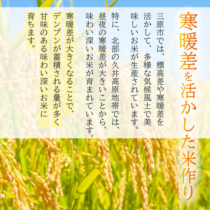 【先行受付】《令和8年新米》みはら高原米 浮城 ～ こしひかり ～ 玄米3kg 2026年9月下旬頃発送予定 コシヒカリ お米 米 ごはん ご飯 広島県 三原市 220070