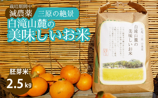 ≪栽培期間中減農薬≫ 三原の絶景白滝山麓の美味しいお米 胚芽米 2.5kg 2025年10月発送予定 瀬戸内ビオファーム ご飯 米 おこめ 002007