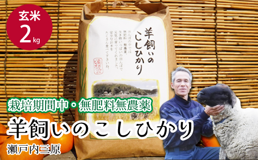 【栽培期間中・無肥料無農薬】瀬戸内三原 羊飼いのこしひかり 玄米2kg 2025年９月上旬発送予定 瀬戸内ビオファーム お米 こめ ご飯 002009
