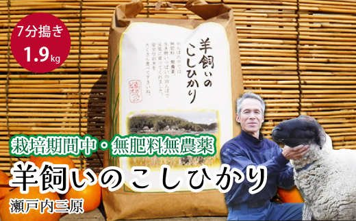 【栽培期間中・無肥料無農薬】瀬戸内三原 羊飼いのこしひかり７分搗き 1.9kg 2025年9月上旬発送予定 瀬戸内ビオファーム お米 こめ ご飯 002010