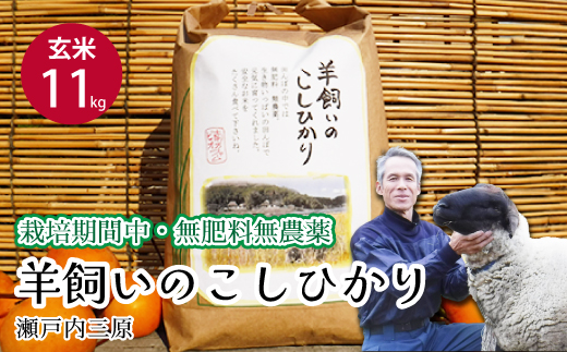 【栽培期間中・無肥料無農薬】瀬戸内三原 羊飼いのこしひかり 玄米11kg 2025年9月上旬発送予定 瀬戸内ビオファーム お米 こめ ご飯 002011