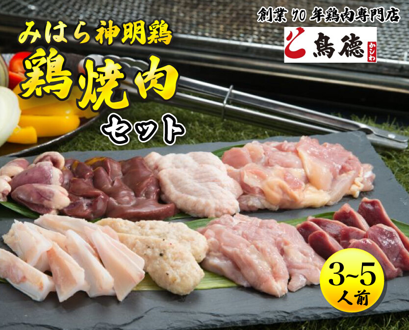 【テレビで話題！】みはら神明鶏の焼肉セット(3～5人前) 鶏肉専門店 鳥徳 鶏肉 神明鶏 鶏モモ セセリ ハツ 手羽先 砂ずり 鶏 とりもも 鶏もも肉 つくね やきにく BBQ セット バーベキュー 012002 