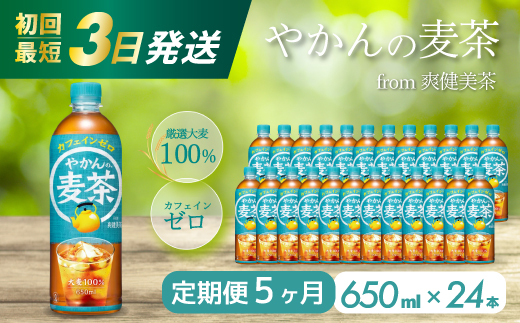 【5か月定期便】やかんの麦茶 from 爽健美茶 PET 650ml×24本(1ケース) 最短3日で発送 ペットボトル お茶 むぎ茶 飲料 カフェインゼロ 箱買い まとめ買い 防災 備蓄 014008