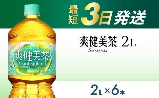 爽健美茶 PET 2L×6本(1ケース) 最短3日発送 お茶 飲料 ソフトドリンク カフェインゼロ ペットボトル 箱買い まとめ買い 備蓄 災害 014062