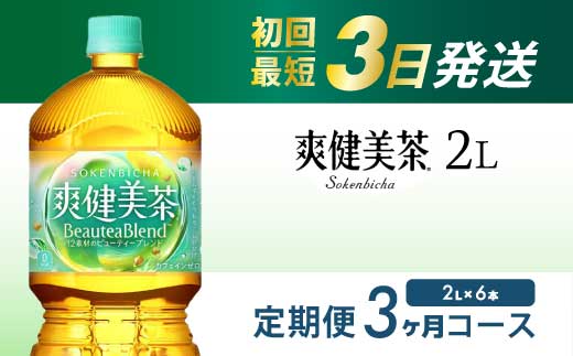 【3か月定期便】爽健美茶 PET 2L×6本(1ケース) 最短3日発送 お茶 飲料 ソフトドリンク カフェインゼロ ペットボトル 箱買い まとめ買い 備蓄 災害 014064