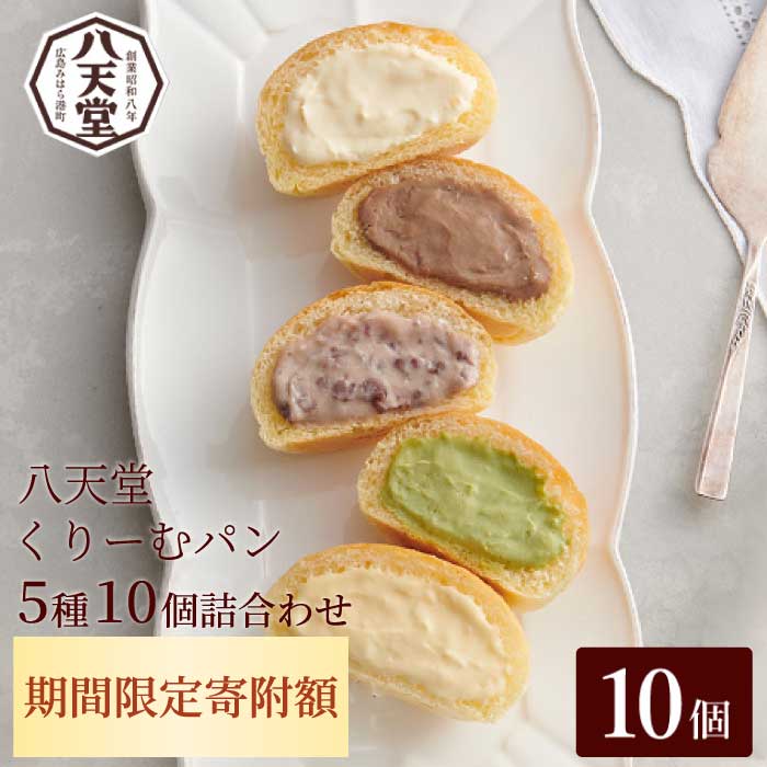 2026年1月4日まで≪特別寄附額≫【八天堂】とろけるくりーむパン 10個詰合せ (5種×2個) クリームパン 菓子パン スイーツ カスタード 生クリーム チョコレート 抹茶 フローズン 冷凍 ギフト すいーつ 015014