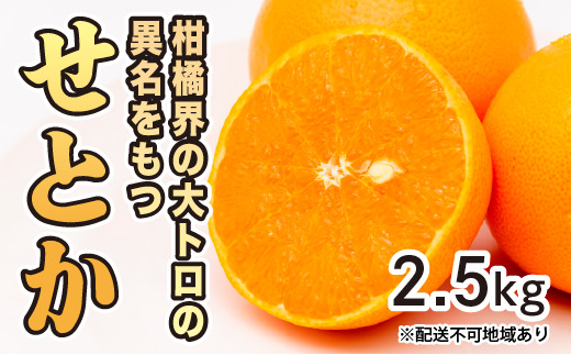 みかん 柑橘【先行受付】【2026年2月下旬以降発送】果汁たっぷり甘さに満足 柑橘の大トロせとか ＜2.5kg＞ 広島 三原 佐木島 鷺島みかんじま 017020