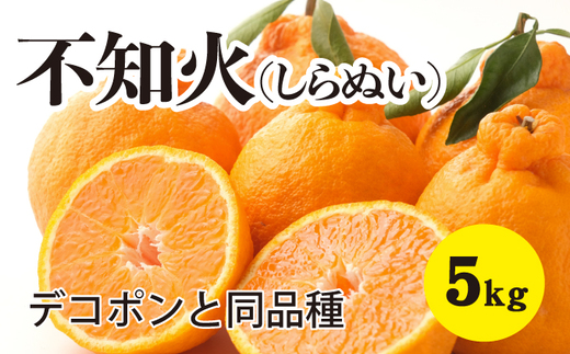 みかん 柑橘【先行受付】【2026年3月以降発送】甘さ抜群しらぬい！デコちゃん【デコポンと同品種】＜約5kg＞ 広島 三原 佐木島 鷺島みかんじま 017027