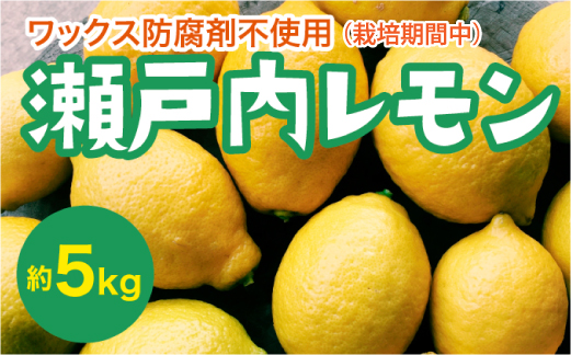 瀬戸内 レモン 約5kg【栽培期間中防腐剤ワックス不使用】【先行受付】【2025年12月以降発送】レモン 国産 佐木島 三原 広島 フルーツ 果物 柑橘 柑橘類 檸檬 017031