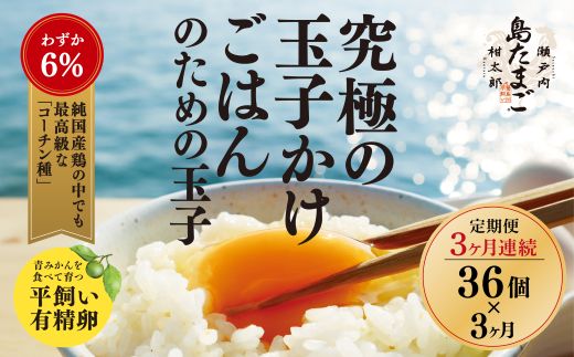 【3ヶ月 定期便】 瀬戸内柑太郎 『島たまご』平飼い有精卵 36個(34個＋割れ補償2個)  平飼い 純国産鶏 コーチン種 卵 たまご 佐木島 三原 広島 3回 017033