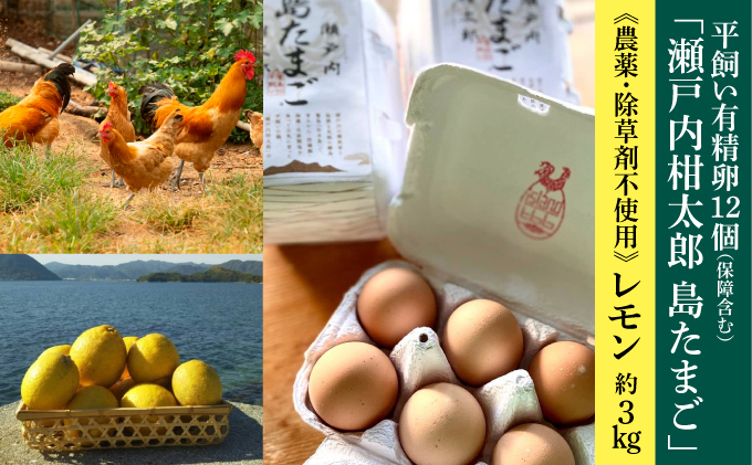 レモン 卵【先行受付】【2025年11月以降発送】平飼い有精卵「島たまご」10個＋2個（保障付）栽培期間中農薬・除草剤を使わず育てた瀬戸内レモン3kg  広島 三原 佐木島 鷺島みかんじま 017036