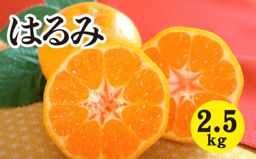 みかん 柑橘 【先行受付】【2026年2月以降発送】甘くてジューシー！瀬戸内さぎしまのはるみ ＜約2.5kg＞ 広島 三原 佐木島 鷺島みかんじま みかん  017043