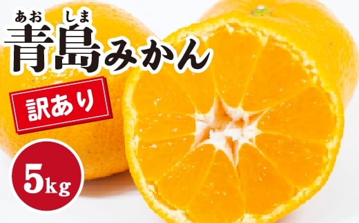 みかん【先行受付】【2026年1月末以降発送】濃厚な甘さが特徴！訳あり青島みかん ＜約5kg＞ 広島 三原 佐木島 鷺島みかんじま 017067
