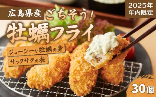 【不漁に負けるな！12月限定】広島県産かき使用！ご馳走かきフライ 250g×3セット カキフライ かきふらい 牡蠣 小分け 冷凍 おかず 惣菜 揚げ物 簡単調理 三原市 タカノブ食品 022001