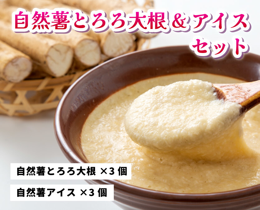 コクがあるのに後味すっきり！自然薯アイスクリーム＆とろろ大根おろしセット（6個入り）お菓子 アイス 加工食品 自然薯アイスクリーム 029002