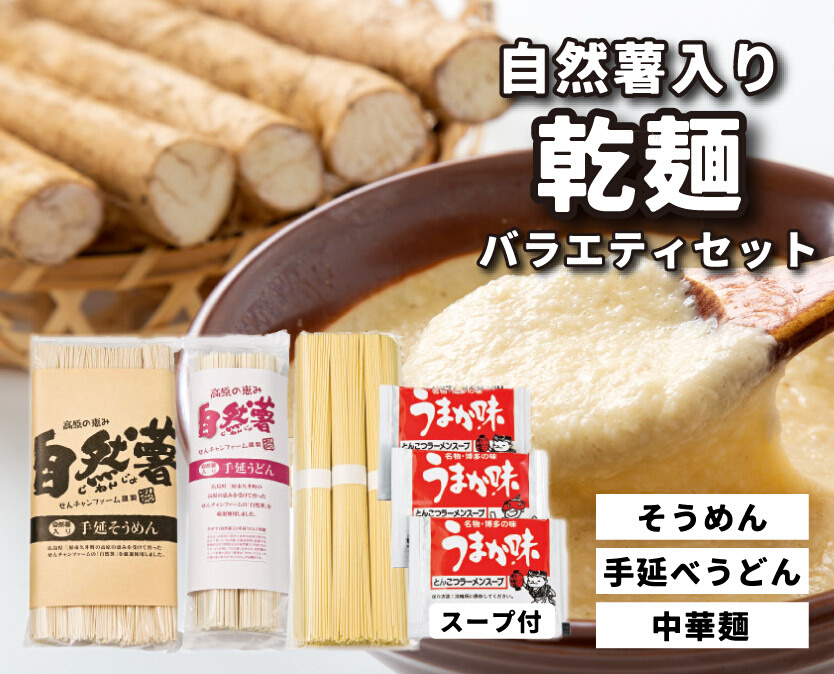 コシがあって美味♪手延べ乾麺の自然薯入り乾麺バラエティセット（小）　029007
