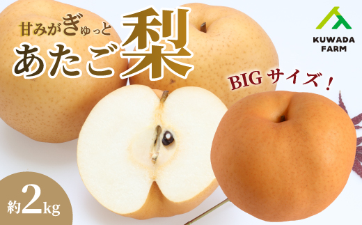 【久和田農園】 甘味がぎゅっと あたご梨 2kg なし フルーツ 梨 果物 広島県三原市 034009