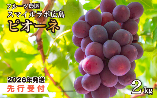【先行受付】ピオーネ2kg 2026年8月中旬以降順次発送予定 ぶどう ブドウ 葡萄 ピオーネ 果物 フルーツ 新鮮 産地直送 広島県三原市 059002