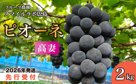 【先行受付】高妻（ピオーネ）2kg 2026年9月以降順次発送予定 ブドウ 葡萄 ぶどう 高妻 フルーツ 果物 新鮮 産地直送 広島県三原市 059004
