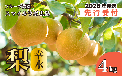 【先行受付】幸水（こうすい）4kg 2026年8月下旬以降順次発送予定 梨 ナシ なし フルーツ 果物 新鮮 産地直送 広島県三原市 059009