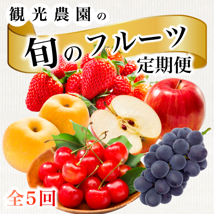 《2026年度先行受付》【フルーツ定期便全5回】 大容量 さくらんぼ 梨 ぶどう りんご いちご 2026年6月～発送 豪華フルーツ 詰め合わせ 採れたて 新鮮 産地直送 果物 広島県 三原市 059014