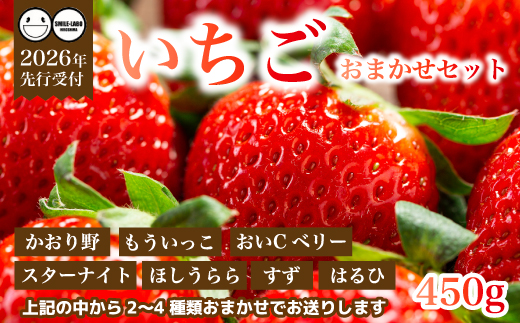 【先行受付】フルーツ農園のおまかせ ～ いちご ～ 450g 2026年3月中旬以降発送予定 イチゴ 苺 フルーツ 果物 広島県 三原市 059022