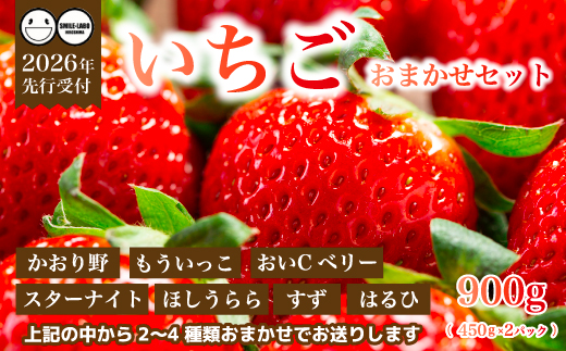 【先行受付】フルーツ農園のおまかせ ～ いちご ～ 450g×2パック 2026年3月中旬以降発送予定 イチゴ 苺 フルーツ 果物 広島県 三原市 059023