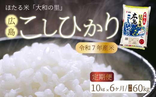 【6か月定期便】ほたる米「大和の里」広島こしひかり 精米 10kg（5kg×2） 白米 米 こめ 令和7年産 066006 