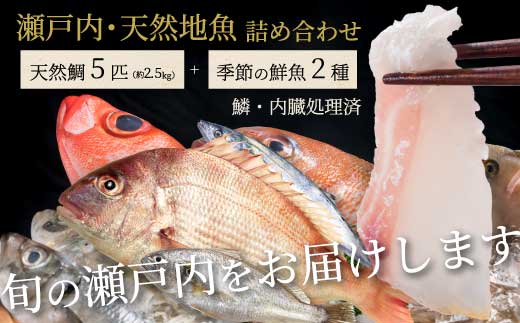 瀬戸内産 天然鯛 約2.5kg（500g×5匹/鱗・内臓処理）・鮮魚2種 詰め合わせ 地魚 鯛 天然鯛 真鯛 天然 鮮魚 下処理済 瀬戸内 広島県 三原市 154007