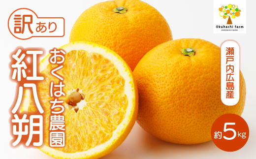 【おくはち農園】〈訳あり〉紅八朔 5kg 《2026年2～3月発送予定》栽培期間中 防腐剤 ワックス 不使用 旬 柑橘 かんきつ はっさく フルーツ 果物 瀬戸内 166006 