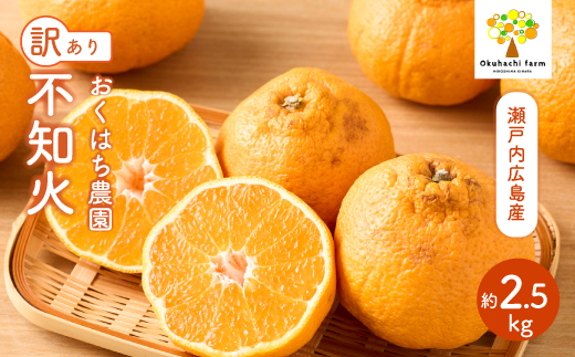 【おくはち農園】〈訳あり〉不知火 （しらぬい）2.5kg  《2026年3月～4月発送予定》栽培期間中 防腐剤 ワックス 不使用 旬 柑橘 かんきつ デコポン フルーツ 果物 瀬戸内 166009 