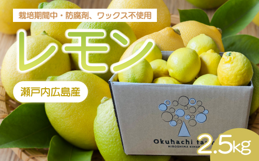 【おくはち農園】レモン 2.5kg 《2025年11月～2026年3月発送予定》栽培期間中 防腐剤 ワックス 不使用 旬 柑橘 かんきつ フルーツ 果物  166021