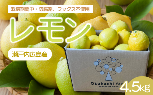 【おくはち農園】レモン 4.5kg 《2025年11月～2026年3月発送予定》栽培期間中 防腐剤 ワックス 不使用 旬 柑橘 かんきつ フルーツ 果物  166022