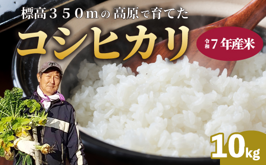 【令和7年】コシヒカリ 精米（白米）10kg こしひかり ごはん お米 米 おにぎり 181001