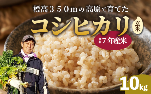 【令和7年】コシヒカリ 玄米 10kg 新米 コシヒカリ こしひかり ごはん お米 米 181003