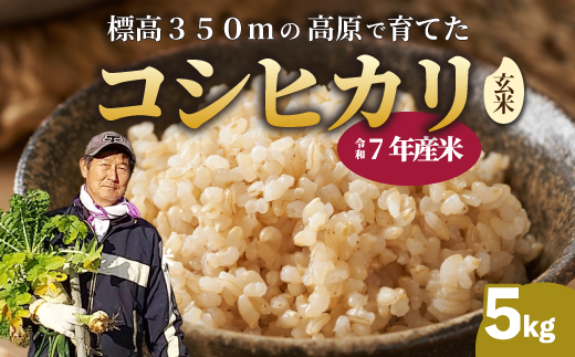 【令和7年】コシヒカリ 玄米 5kg こしひかり ごはん お米 米 181004