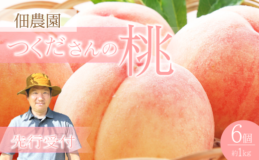 【先行受付】つくださんの桃 6個 約1kg もも モモ 果物 フルーツ 夏 広島県三原市 210001