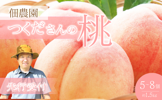 【先行受付】つくださんの桃 5～8個 約1.5kg もも モモ 果物 フルーツ 夏 広島県三原市 210002
