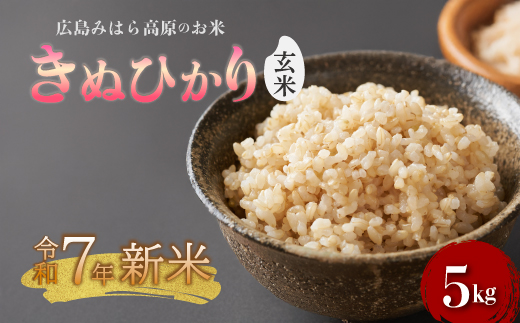 《令和7年新米》みはら高原米 浮城 ～ きぬひかり ～ 玄米5kg お米 米 精米 ごはん ご飯 広島県 三原市 220015