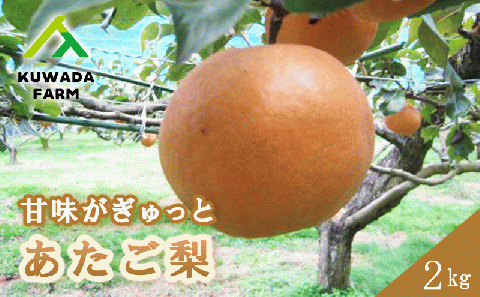 [先行予約]久和田農園 甘味がぎゅっと あたご梨 2kg