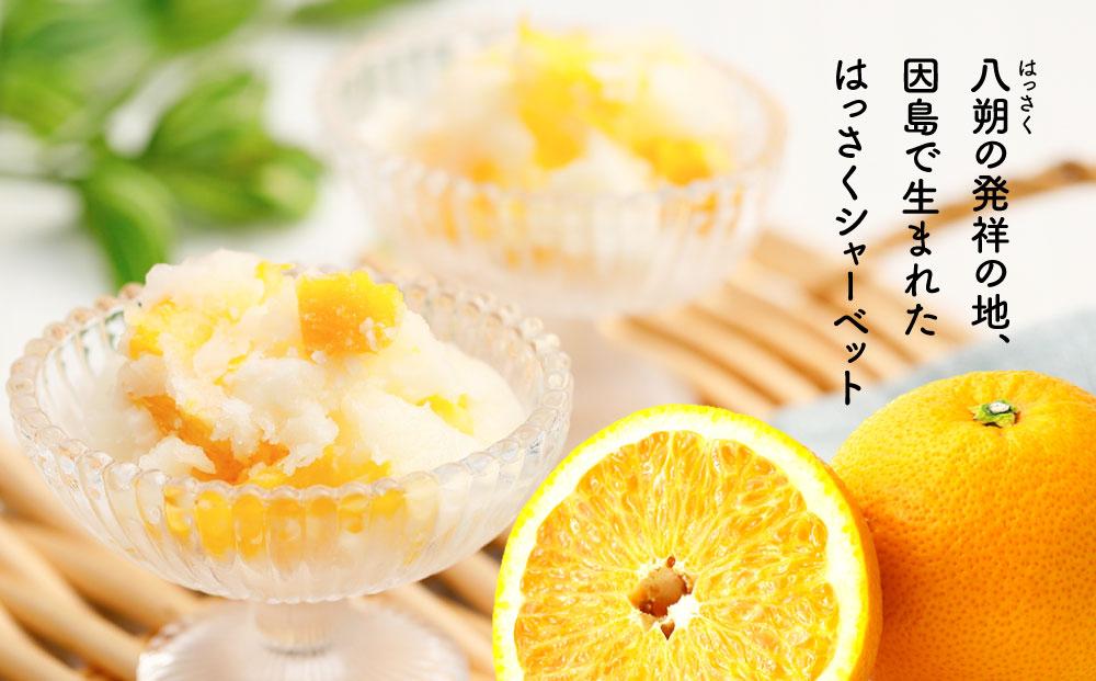 因島のはっさくシャーベット(未凍結）（75g×12個）【ひろしま銘菓 スウィーツ 菓子 贈り物 土産 広島県 尾道市】