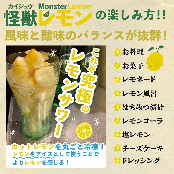 【先行受注受付中】広島県産「怪獣レモン」1セット３玉【3月ごろ～】【フルーツ 果物 くだもの 食品 人気 おすすめ】