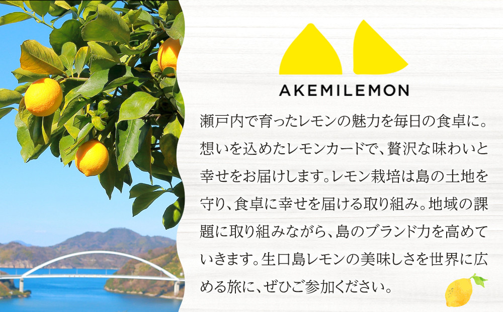 生産量日本一 広島 瀬戸田 レモンカード90g×3個 ｜手作り 無添加 レモン バター / プレミアム