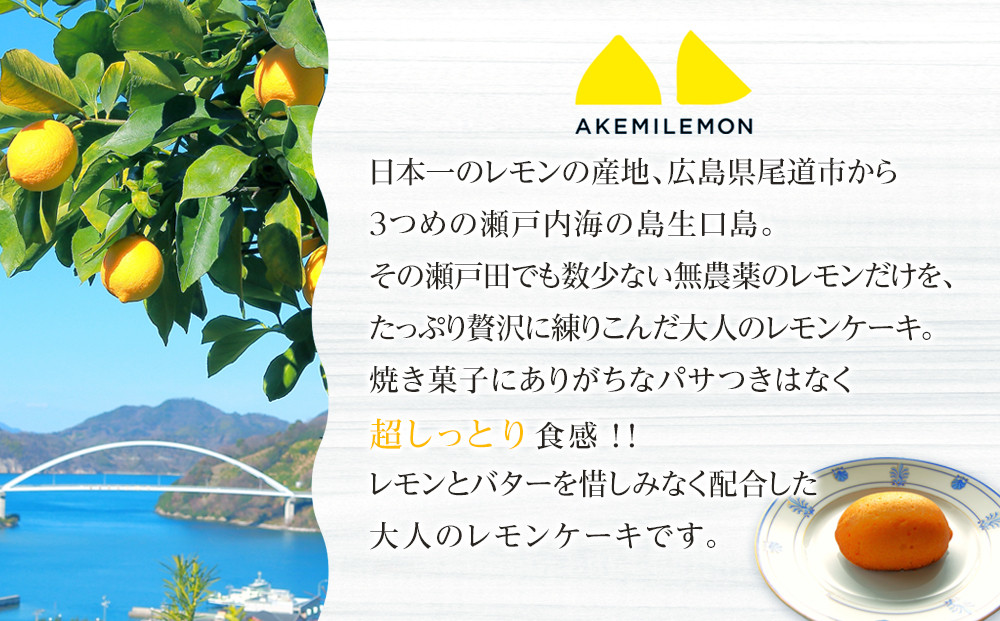 お菓子　レモンケーキ15個（バラ） ギフト 個包装 スイーツ ケーキ  焼き菓子