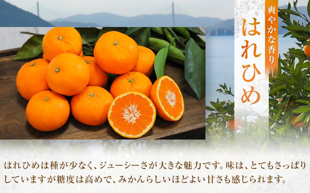 爽やかな香り！！ はれひめ ３ｋｇ　＜2025年12月下旬より発送開始＞【みかん 蜜柑 フルーツ 果物 青果 柑橘 尾道市】