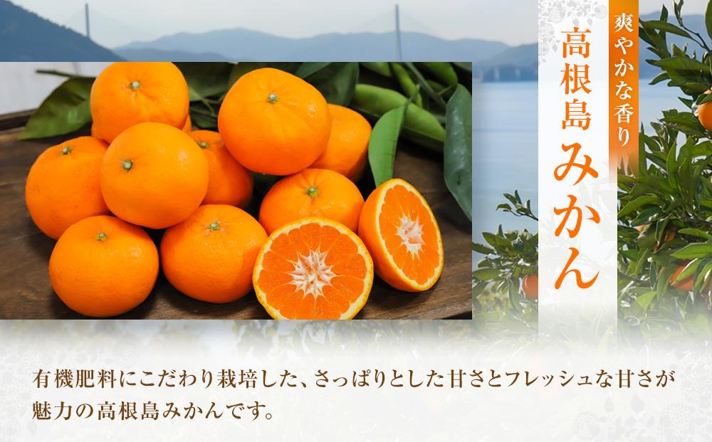 こだわり栽培　高根島みかん 3kg ＜2025年11月下旬より発送開始＞【広島県尾道市 瀬戸田　柑橘 フルーツ 果物】