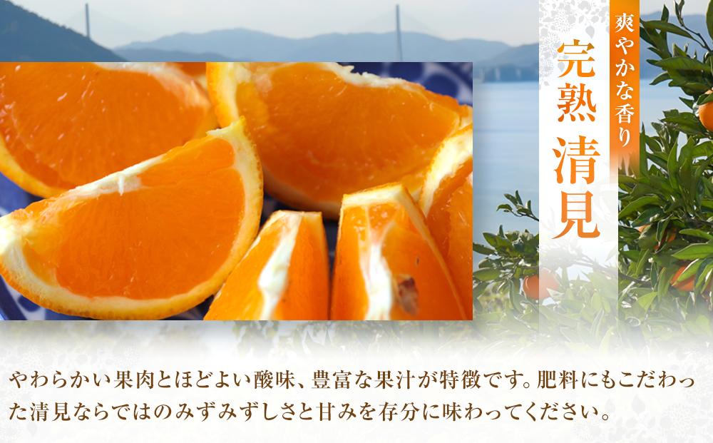 めっちゃジューシー　完熟清見3ｋｇ　＜2026年3月下旬より発送開始＞【ミカン みかん 蜜柑 フルーツ 果物 完熟 青果 柑橘 尾道市】