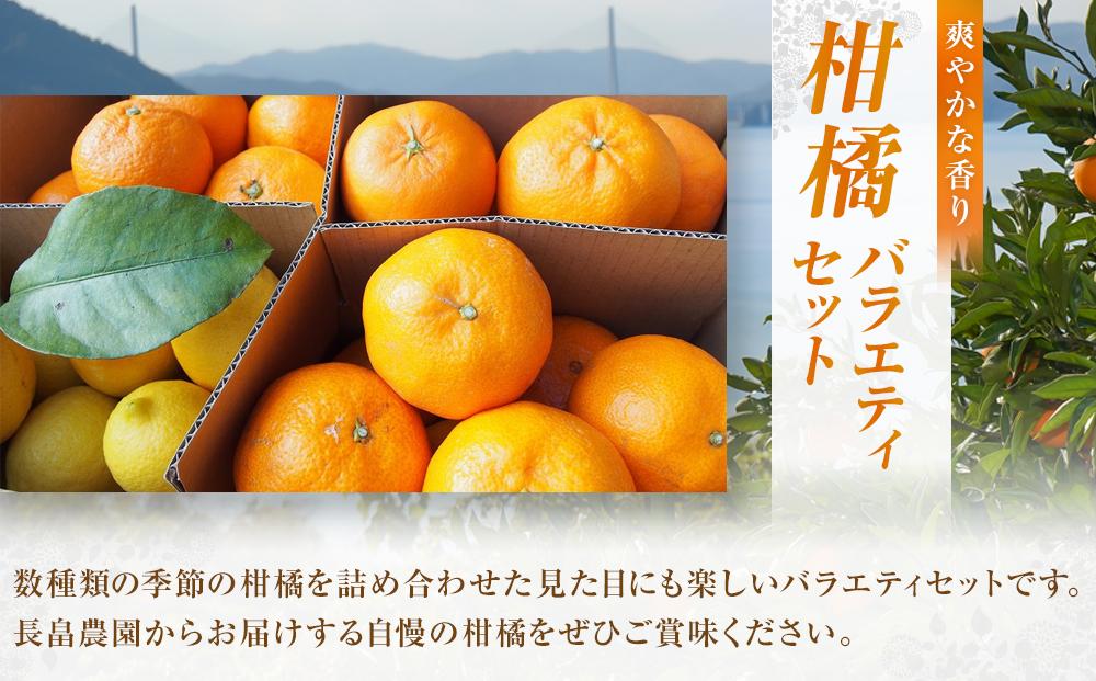 柑橘バラエティセット　5ｋｇ ＜2026年1月下旬より発送開始＞【みかん 瀬戸田 レモン 檸檬  果物 フルーツ 詰め合わせ セット 人気 おすすめ 瀬戸内 広島県  尾道市】